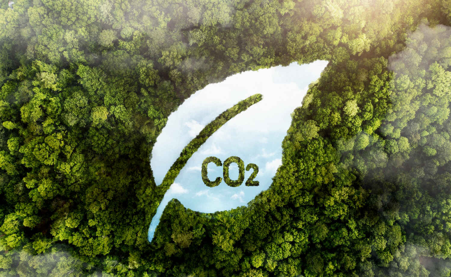 Impact environnemental